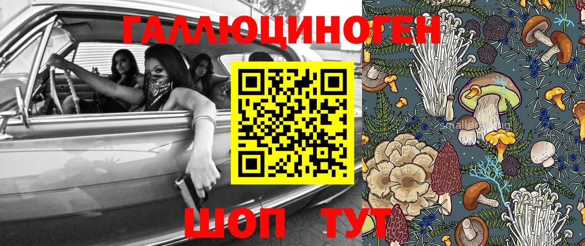 Чусовой  Галлюциногенные грибы Psilocybine cubensis  Вход с VPN  Псилоцибиновые грибы Magic Shrooms 