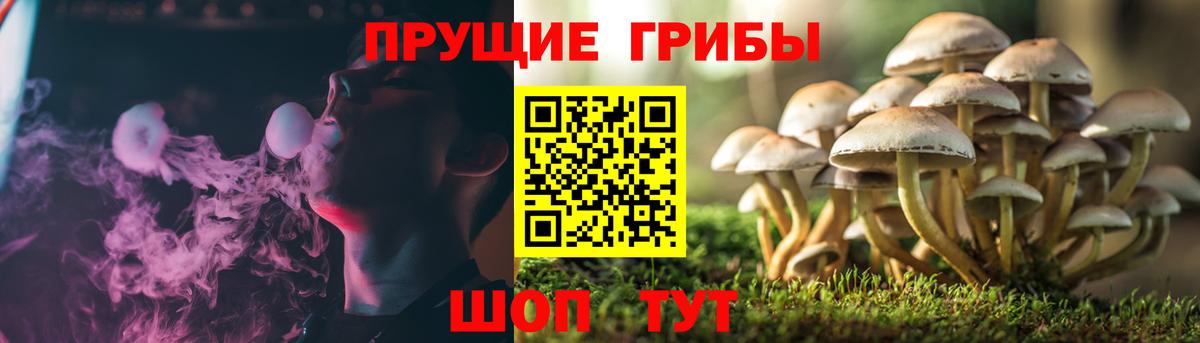 Галлюциногенные грибы мухоморы Чусовой